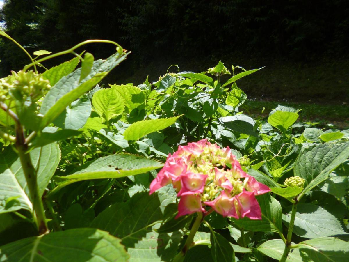 Oulches Le Moulin De Cors B&B 외부 사진